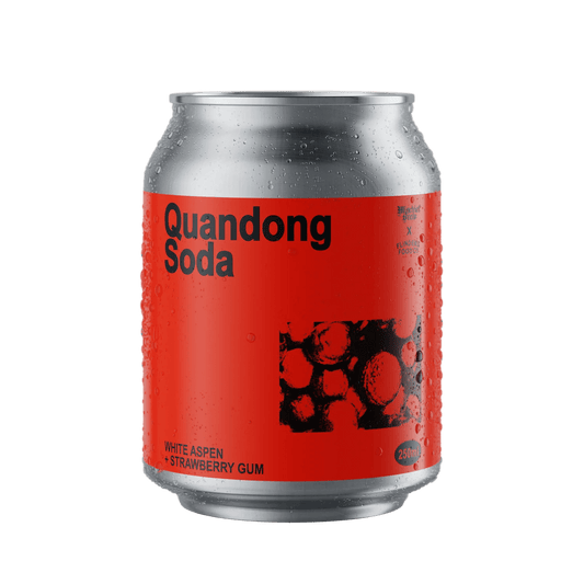 Mischief Brew Quandong Soda 250ml