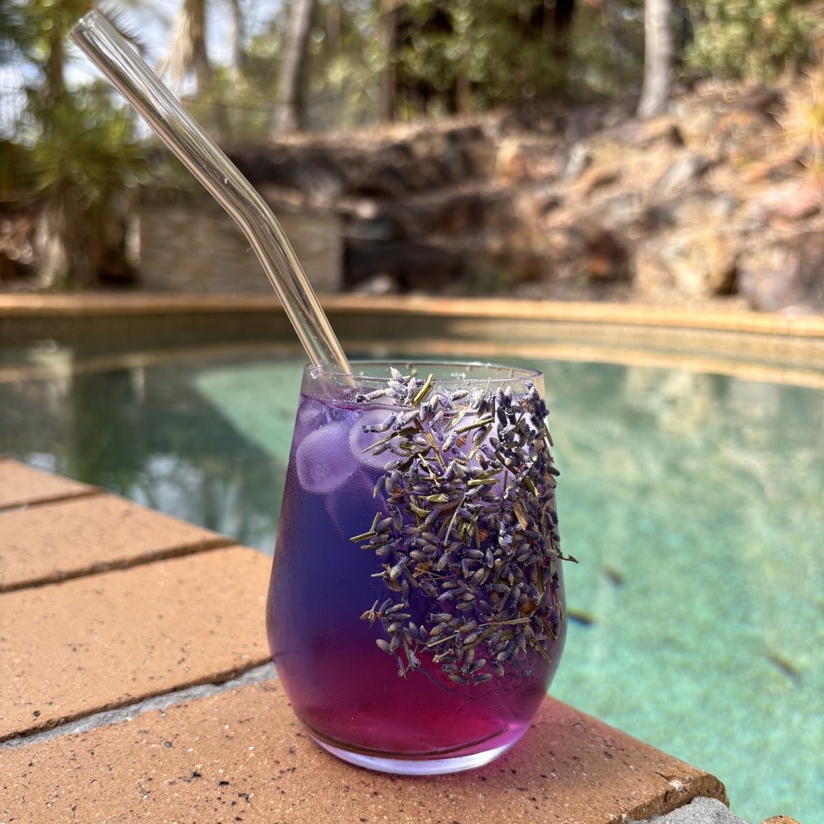 Edible Flowers - Cocktail Candy Lavender