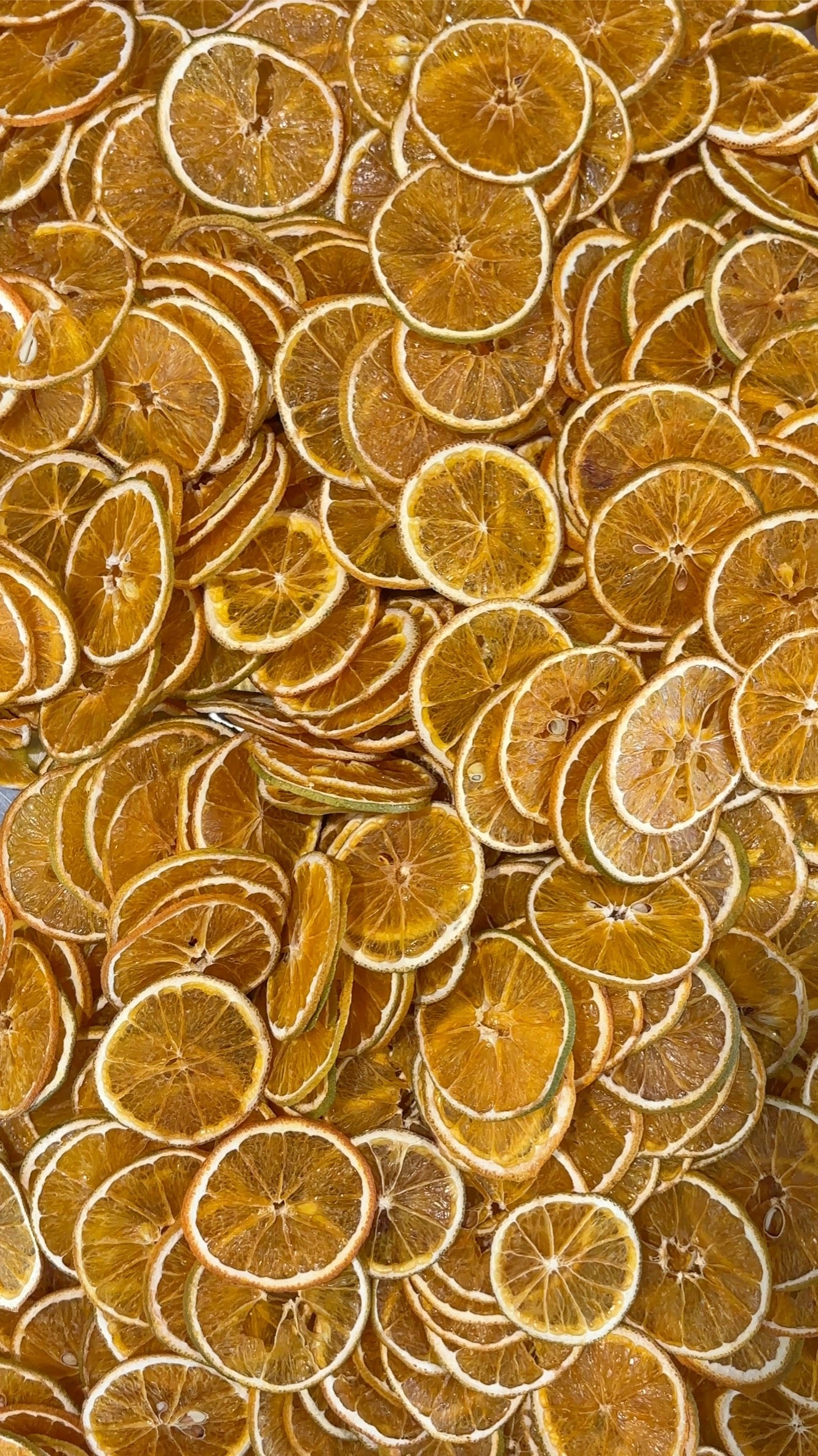 Food Service Bag - Oranges